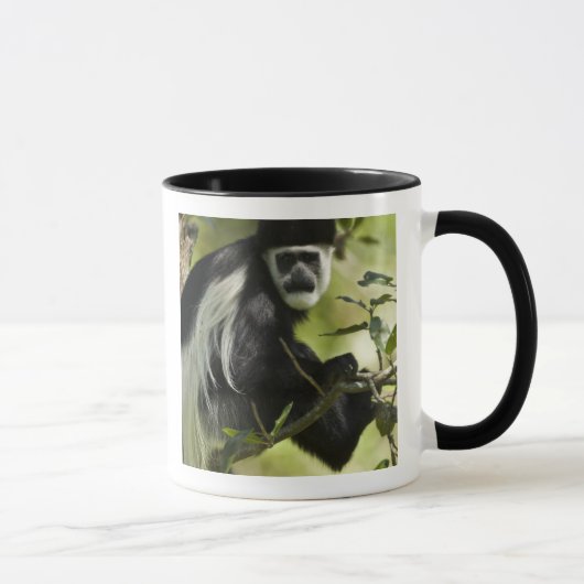 Mug Colobe noir et blanc (Droite)