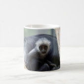Mug Colobus polykomos (Centre)
