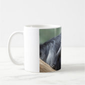 Mug Colobus polykomos (Gauche)