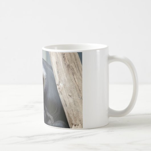 Mug Colobus polykomos (Droite)