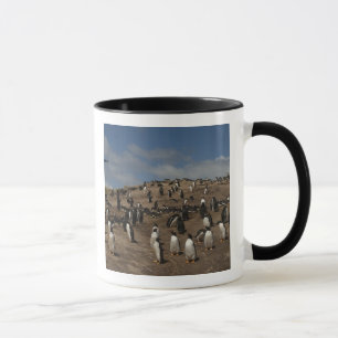 Mug colonie de Penguin Gentoo (Pygoscelis papua) sur l