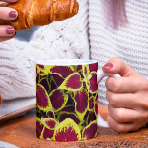 Mug Coloré Coleus Plante Feuille Floral