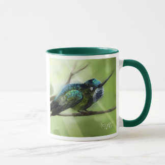 Mug Colorfly