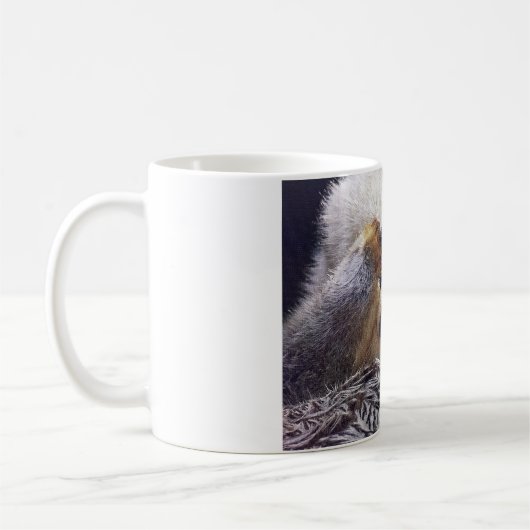 MUG COMICAL OTTER PEEK-A-BOO (Gauche)