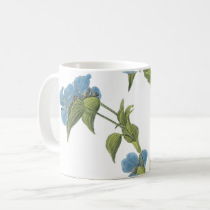 Mug commelina(Commelina tuberosa) par Redouté