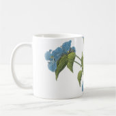 Mug commelina(Commelina tuberosa) par Redouté (Gauche)