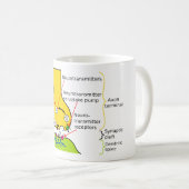 Mug Comment des signaux de nerf sont envoyés avec des (Devant droit)