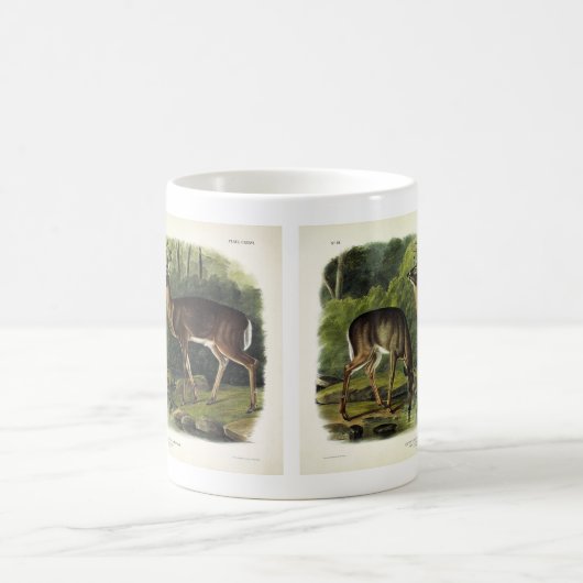 Mug Common Deer (Centre)