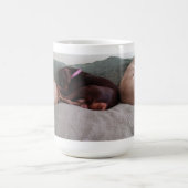 Mug Compagnons (Centre)