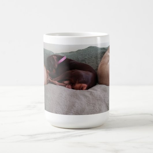 Mug Compagnons (Centre)