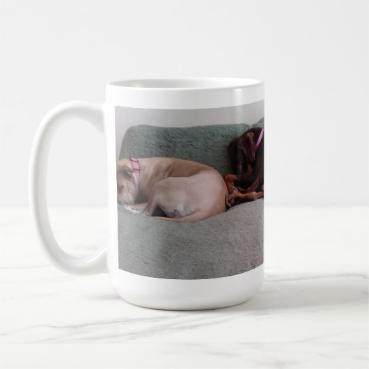 Mug Compagnons (Gauche)