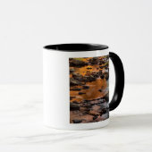 Mug Comté de Johnson, Leawood, Tomahawk Creek (Devant droit)