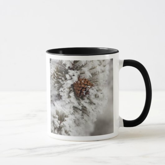 Mug cône de pin lodgepole en hiver à Yellowstone (Droite)