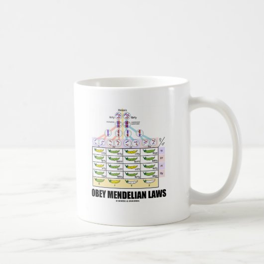 Mug Conformez-vous aux lois mendéliennes (les pois (Droite)