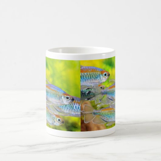 Mug Congo tetra コーヒーマグカップ (Centre)
