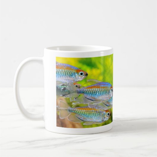 Mug Congo tetra コーヒーマグカップ (Gauche)