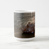 Mug Conque Shell à la plage | St Augustine, la Floride (Centre)