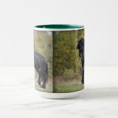 Mug Contrefiche d'étalon (Centre)