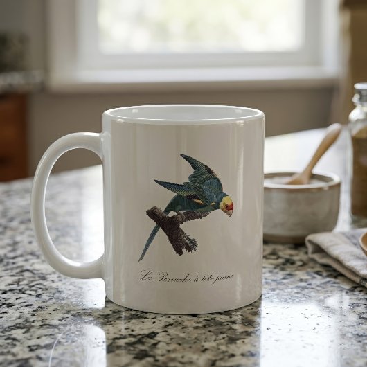 Mug Conure de Caroline, Conuropsis carolinensis