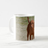 Mug Coonhound rouge (Devant gauche)