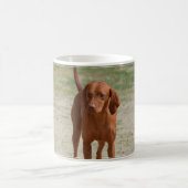Mug Coonhound rouge (Centre)