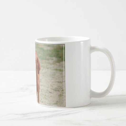 Mug Coonhound rouge (Droite)