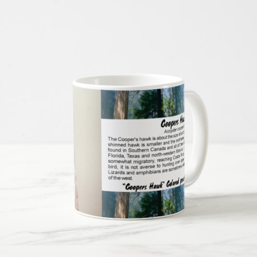 Mug Coopers Hawk (Devant droit)