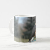 Mug Coopers Hawk (Devant gauche)