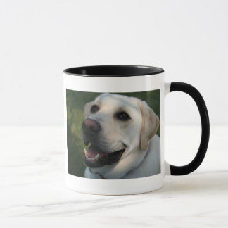 MUG COORS