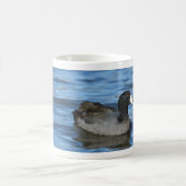 Mug Coot américain (Centre)