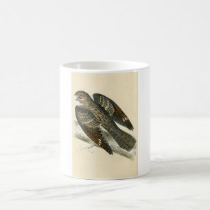Mug Copie antique d'un engoulevent