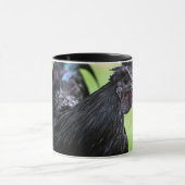 Mug Coq noir d'Ayam Cemani (Centre)