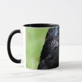 Mug Coq noir d'Ayam Cemani (Gauche)