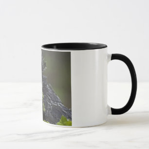 Mug Coq polonais argenté