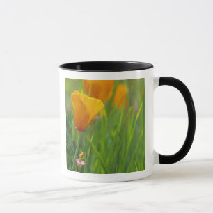 Mug Coquelicots dorés de Californie dans un champ vert