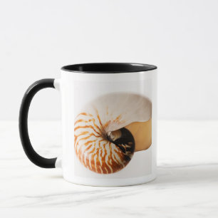 Mug Coquillage de Nautilus (stenomphalus de Nautilus)