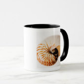 Mug Coquillage de Nautilus (stenomphalus de Nautilus) (Devant droit)