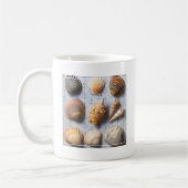 Mug Coquillages sur le contexte d'Ancre (Gauche)