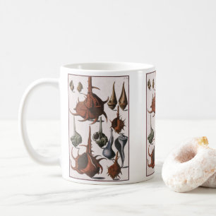 Mug Coquillages vintages, Coquillages océaniques Marin