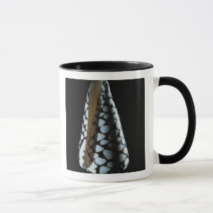 Mug Coquille 2 de cône