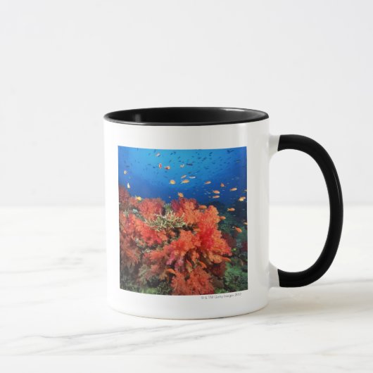 Mug Corail et poissons (Droite)