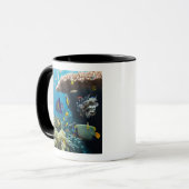 Mug Corail et poissons en Mer Rouge, Egypte (Devant gauche)