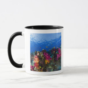 Mug Coraux mous sur le récif peu profond, Fidji