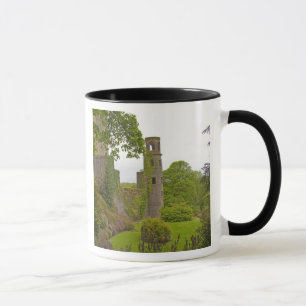 Mug Cork, Irlande. Le célèbre château de Blarney 2