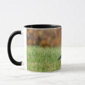 Mug Corneille Dans L'Herbe (Gauche)
