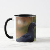 Mug Corneille extérieure (Gauche)