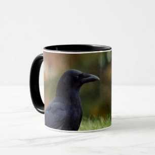 Mug Corneille extérieure