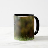 Mug Corneille extérieure (Devant droit)