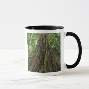 Mug Costa Rica, Parc national de Corcovado, soutenu
