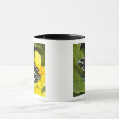 Mug Costa Rica, Péninsule d'Osa (Centre)